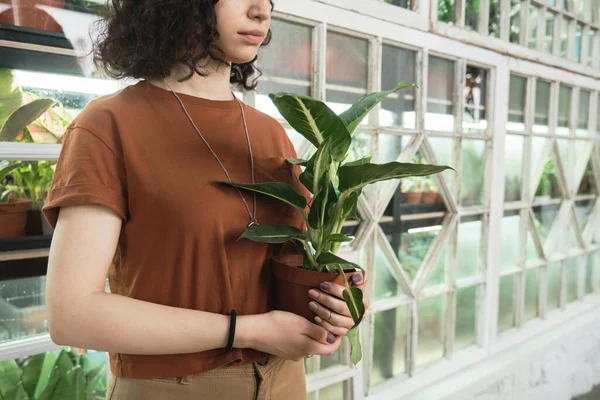 Woman holding green plants — Stock Photo, Image