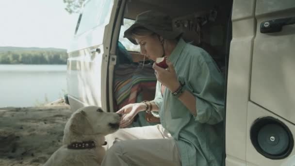 Молодая Женщина Сидящая Фургоне Ест Яблоко Гладит Прекрасную Золотистую Собаку — стоковое видео