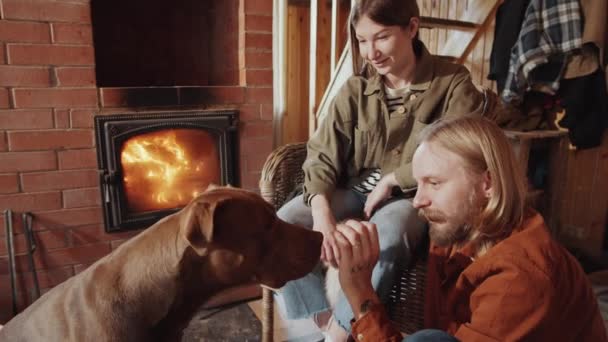 Χαρούμενος Γενειοφόρος Άνθρωπος Χαϊδεύει Χαριτωμένο Pit Bull Σκυλί Ενώ Κάθεται — Αρχείο Βίντεο