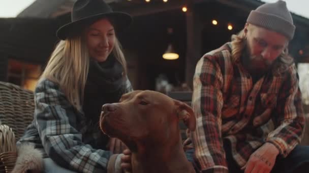 Adorável Pit Bull Cão Sentado Fogueira Livre Gostando Ser Acariciado — Vídeo de Stock