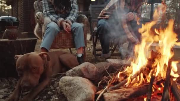 Tilt Shot Man Putting Firewood Burning Bonfire While Sitting Wife — Stock Video