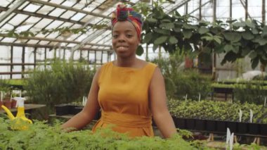 Güzel Afro-Amerikan kadın portresi serada duruyor, kameraya bakıyor ve gülümsüyor.