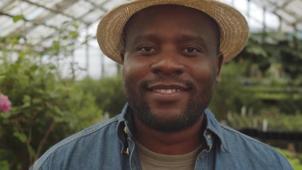 Porträtt Positiv Afro Amerikansk Manlig Bonde Halmhatt Stående Växthus Tittar — Stockvideo