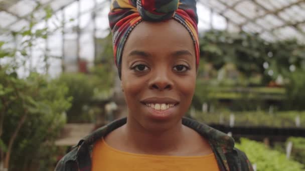 Portrét Krásné Afroamerické Farmářky Dívající Kamery Usmívající Při Pózování Skleníkové — Stock video
