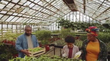 Afro-Amerikalı çiftçinin sandıkla bitki taşıdığı, boşalttığı ve aile serasında çalışırken karısı ve oğluyla konuştuğu geniş açılı bir görüntü.