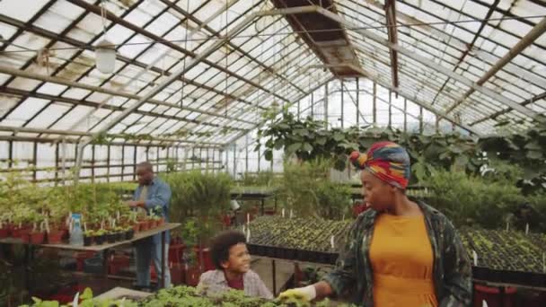 Liten Afro Amerikan Som Springer Växthuset Och Kramar Glad Mamma — Stockvideo