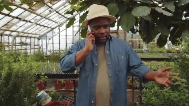 Agricultor Afroamericano Caminando Través Del Invernadero Revisando Plantas Hablando Por — Vídeos de Stock