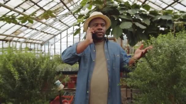 Alegre Agricultor Afroamericano Caminando Por Invernadero Hablando Por Teléfono Móvil — Vídeos de Stock