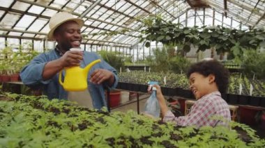 Afro-Amerikalı baba ve küçük oğlu bitkileri ilaçlıyor ve aile serasında su savaşı yaparken eğleniyorlar.