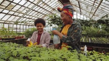 Mutlu Afro-Amerikalı anne ve küçük oğlu bitkileri ilaçlıyor ve sonra su savaşı oynuyor, gülüyor ve aile serasında birlikte çalışırken kucaklaşıyorlar.