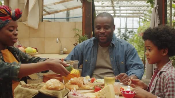 アフリカ系アメリカ人の女性が夫と息子のためにキュウリを切り 農場の家族の夕食で彼らとチャット — ストック動画
