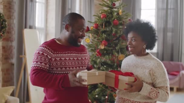 크리스마스 옆에서 집에서 선물을 이야기하는 즐거운아 미국인 — 비디오