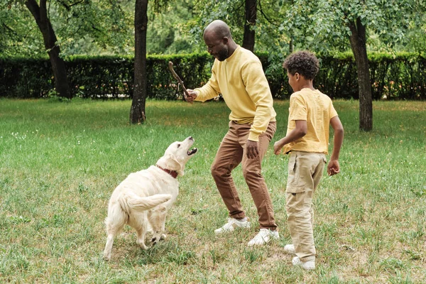 Família treinando seu cão ao ar livre — Fotografia de Stock