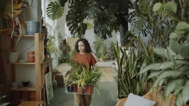 Menina Jovem Andando Com Plantas Verdes Seguida Tirar Pote Caixa — Vídeo de Stock