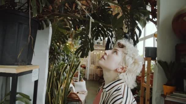Приглушений Знімок Молодої Жінки Стоїть Квітковому Магазині Дивиться Рослину Великої — стокове відео
