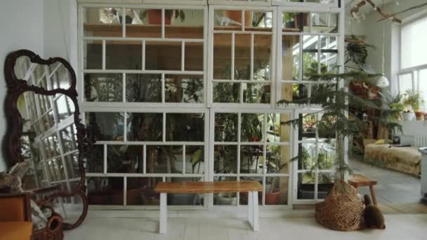 屋内庭や花屋のガラスの壁の後ろの緑の観葉植物のズームアウト — ストック動画