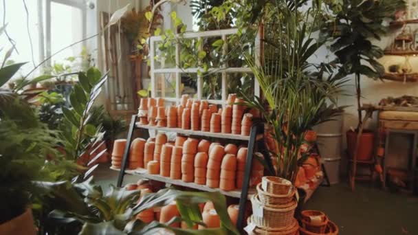 Vergrößern Sie Die Aufnahme Von Tonterrakottatöpfen Auf Regalen Blumenladen Die — Stockvideo