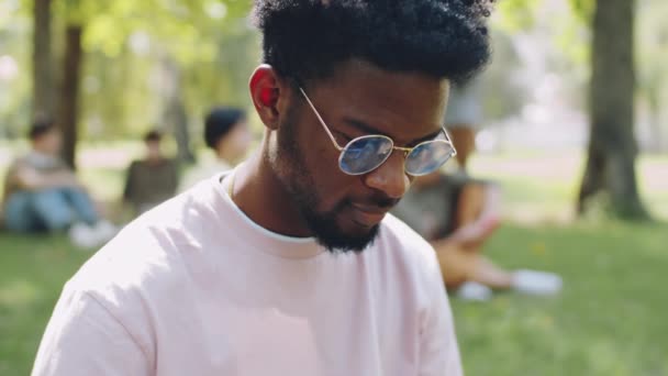 Park Yerinde Dizüstü Bilgisayar Kullanan Afro Amerikan Üniversite Öğrencisinin Portresi — Stok video