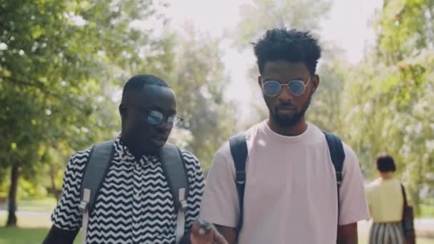Genç Afro Amerikalı Öğrenci Yaz Günü Parkta Birlikte Yürüyor Gülümsüyor — Stok video