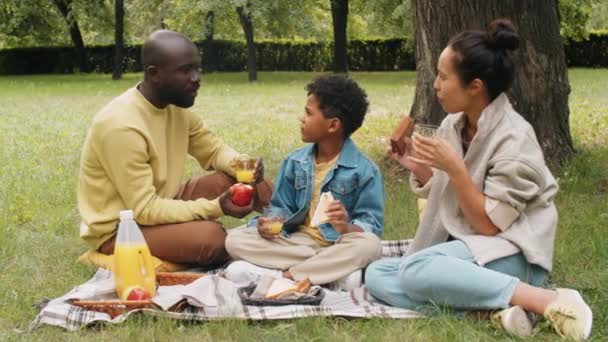 积极的非裔美国人母亲 父亲和小儿子在公园边吃饭 边聊天 — 图库视频影像