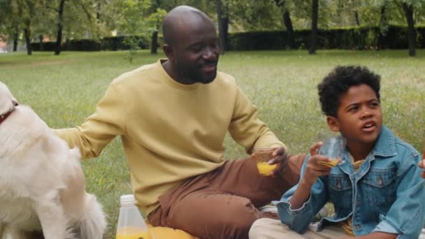 快乐的黑人男人在公园野餐的时候爱抚可爱的金发碧眼的猎犬 和小儿子小老婆说话 — 图库视频影像
