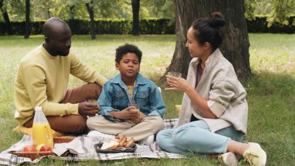 快乐的非洲裔美国人父母和小儿子一边笑着一边聊天 一边在公园的绿色草坪上野餐 — 图库视频影像