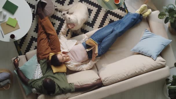 High Angle Shot Woman Lying Sofa Reading Book Petting Dog — Stock Video