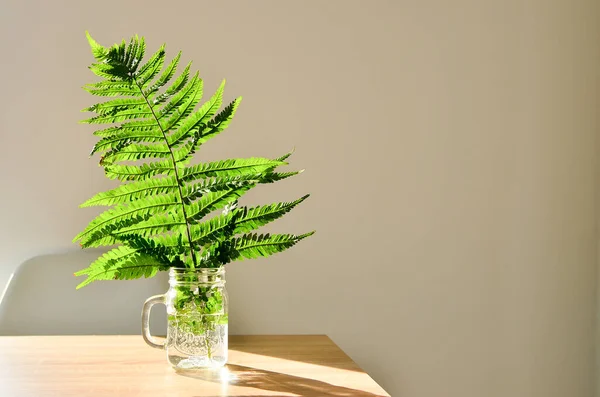 Shot Green Plant White Flowerpot Wooden Desk — Stock Photo, Image