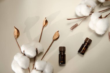 Bej arka planda çevre dostu biyokozmetik seti. Güzellik ürünleri - Kehribar cam damlatan şişeler ve pamuk yaprakları. Düz yatış, üst görünüm.