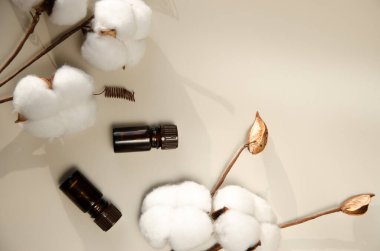 Bej arka planda çevre dostu biyokozmetik seti. Güzellik ürünleri - Kehribar cam damlatan şişeler ve pamuk yaprakları. Düz yatış, üst görünüm.