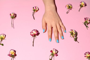 Şık moda kadın manikürü. Güzel genç bir kadının elleri pembe arka planda kuru güllerle