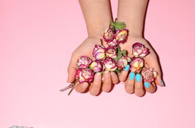 Şık moda kadın manikürü. Güzel genç bir kadının elleri pembe arka planda kuru güllerle