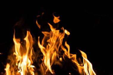 Siyah arka planda yangın. Soyut ateş dokusu. Gerçekçi alevler hareket çerçevesini yakar. Tasarım için doku. Ateşin dokusu. Yangın arka planı. Alevli kamp ateşi. Hassas odak.