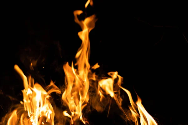 Fire flames on a black background. Abstract fiery texture. Realistic fire flames burn movement frame. Texture for Design. The texture of fire. Fire flames background. Blazing campfire. Sensitive focus.