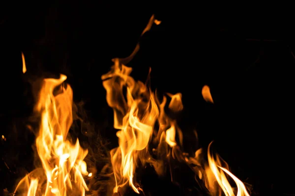 Fire flames on a black background. Abstract fiery texture. Realistic fire flames burn movement frame. Texture for Design. The texture of fire. Fire flames background. Blazing campfire. Sensitive focus.