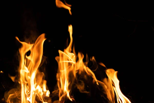 Fire flames on a black background. Abstract fiery texture. Realistic fire flames burn movement frame. Texture for Design. The texture of fire. Fire flames background. Blazing campfire. Sensitive focus.