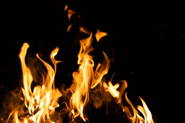 Fire flames on a black background. Abstract fiery texture. Realistic fire flames burn movement frame. Texture for Design. The texture of fire. Fire flames background. Blazing campfire. Sensitive focus.