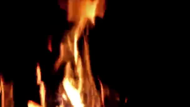 Φωτιά Φλόγες Μαύρο Φόντο Αφηρημένη Φλογερή Υφή Ρεαλιστική Φωτιά Φλόγες — Αρχείο Βίντεο