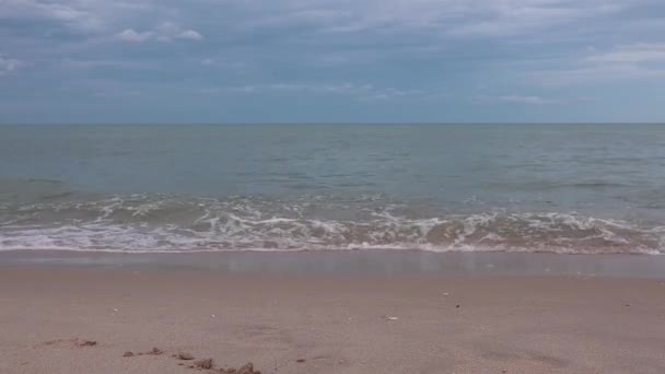 Viento Sopla Sobre Las Olas Del Mar Playa Durante Día — Vídeos de Stock