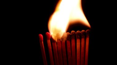 Ateşleme kibritleri siyah arka planda sıralı. Kibrit çöpleri video yakıyor. Sosyal mesafeli konsept görüntüleri. Domino etkisi. Salgın hastalıkların yayılmasını durdur.