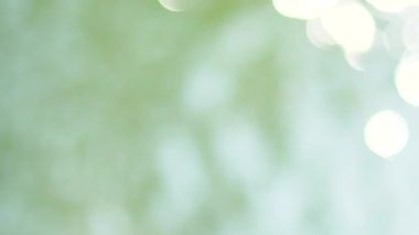 Bulanık yeşil doğa bokeh arka plan. Güneşin ağaçların arasından geçmesiyle. Güzel yeşil renkli doğal video Bokeh soyut arkaplan.