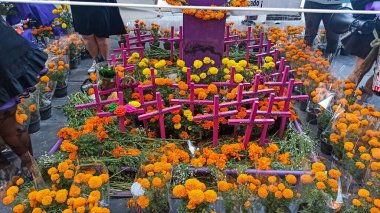 Mexico City, Meksika - 2020 Kasım: Tahta haç Meksika 'daki tüm eyaletlerin isimleri, ülkedeki kadın cinayetlerini temsil ediyor, feministler 