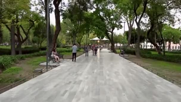 Ciudad México México Julio 2020 Familia Recorriendo Parque Patines Los — Vídeos de Stock