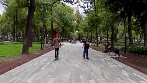 멕시코 2020 스케이트보드를 공원을 순회하는 소년들 주말에 청소년들은 전염을 피하기 — 비디오