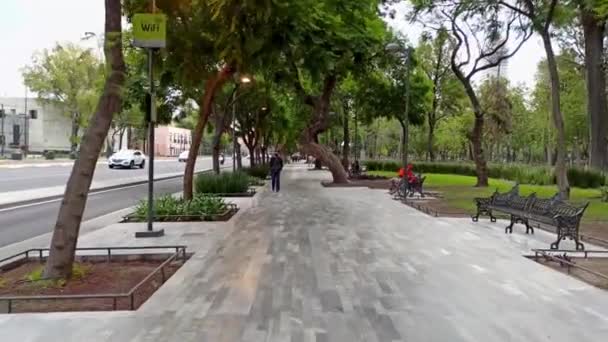 墨西哥墨西哥城 2020年7月 参观墨西哥中部购物中心 公园位于美术宫旁边 许多人聚集在那里进行家庭步行或体育活动 — 图库视频影像