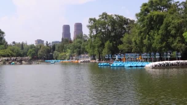 Mexico City Mexico Juni 2021 Boat Rental Lake Chapultepec Chapultepec — Stok Video