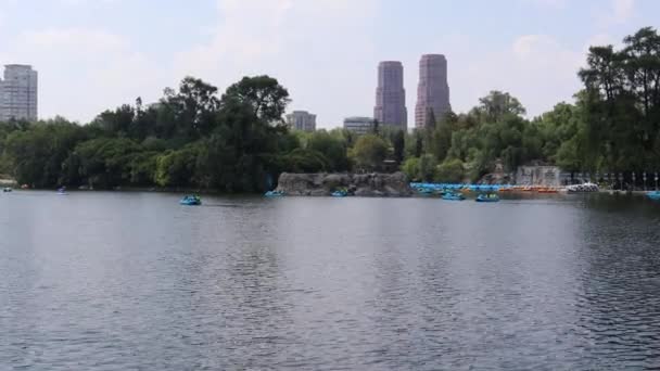 Lago Chapultepec Com Floresta Fundo Com Barcos Movimento Água — Vídeo de Stock