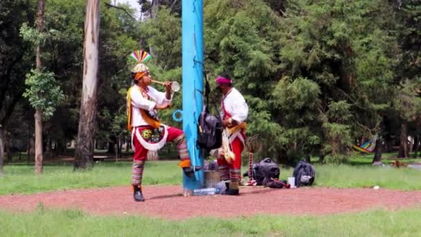 Mexico City Mexico June 2021 Flying Man Papantla Playing Music — Stock Video