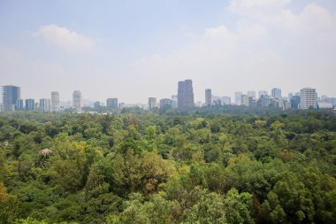 Mexico City, Meksika - Haziran 2021: Chapultepec Kalesi 'nden Meksiko manzarası, Chapultepec Ormanı önünde.