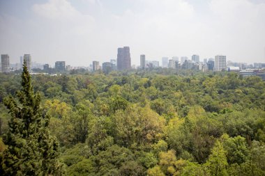 Mexico City, Meksika - Haziran 2021: Chapultepec Kalesi 'nden Mexico City' ye doğru orman önümüzde..
